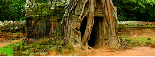 Saron Tours