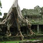 Ta Prohm